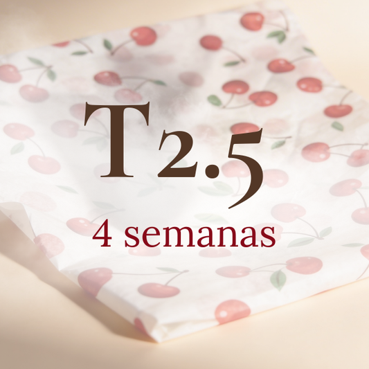 T2.5